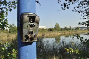 ochrona stawów hodowlanych