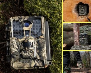 Ice Cam fotopułapka marki Covert