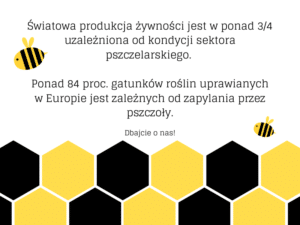 Pamietaj o pszczołach